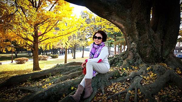 1510458489457_看图王_看图王.jpg 1510458489457_看图王_看图王.jpg