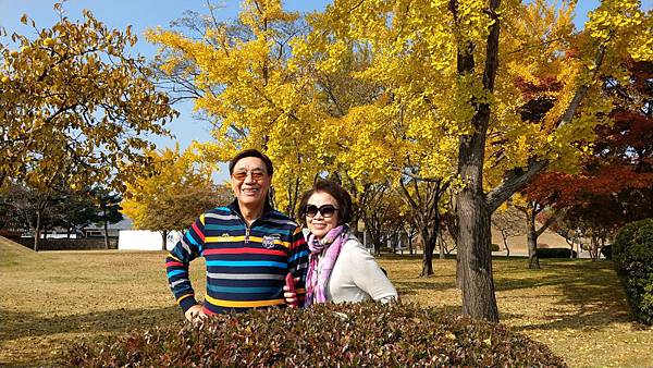 1510458516064_看图王.jpg 1510458516064_看图王.jpg