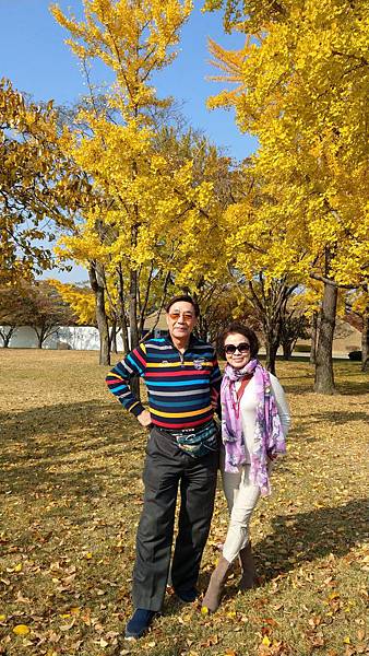 1510458517781_看图王.jpg 1510458517781_看图王.jpg