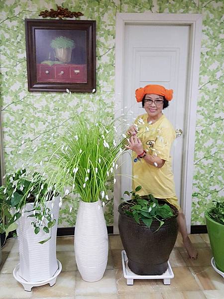 1510500601593_看图王.jpg 1510500601593_看图王.jpg