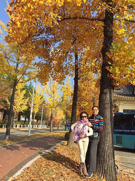 1510473827501_看图王.jpg 1510473827501_看图王.jpg