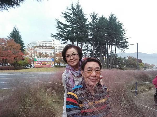 1510500744851_看图王.jpg 1510500744851_看图王.jpg