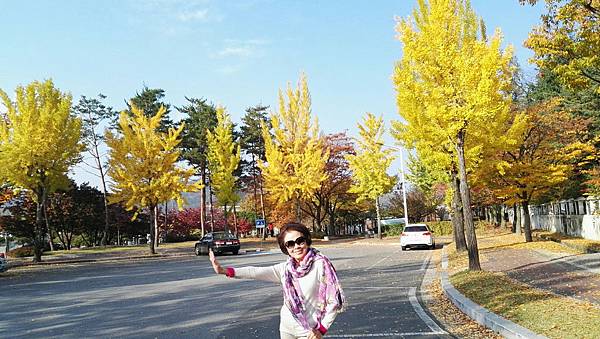 1510500843077_看图王.jpg 1510500843077_看图王.jpg