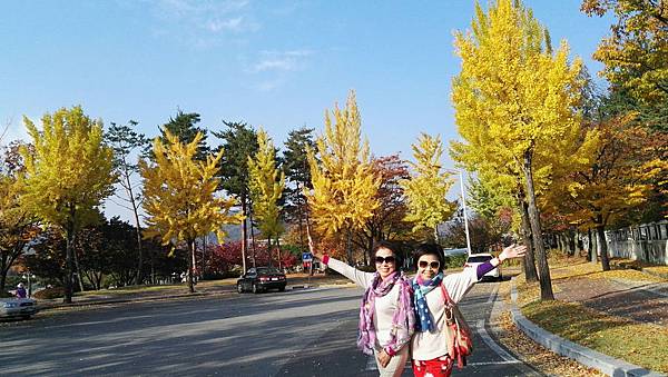 1510500844553_看图王.jpg 1510500844553_看图王.jpg