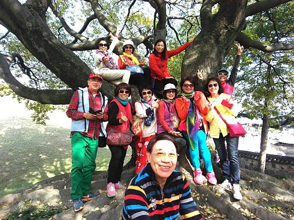 1510500975289_看图王_看图王.jpg 1510500975289_看图王_看图王.jpg