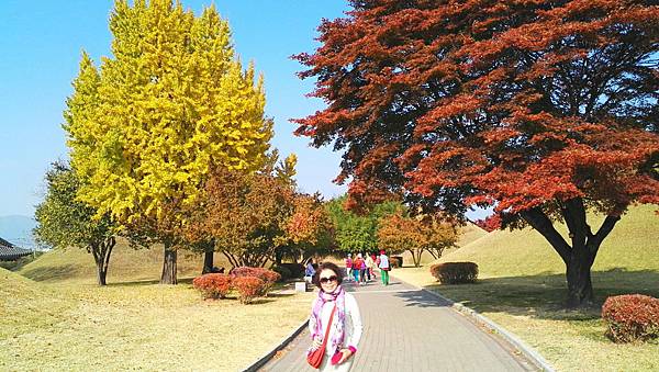 1510500986834_看图王.jpg 1510500986834_看图王.jpg