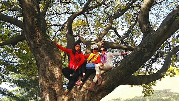 1510500983629_看图王.jpg 1510500983629_看图王.jpg