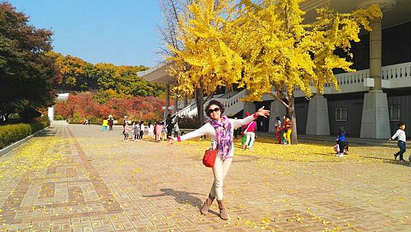 1510501135285_看图王.jpg 1510501135285_看图王.jpg