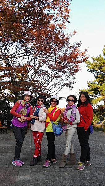 1510501258694_看图王.jpg 1510501258694_看图王.jpg