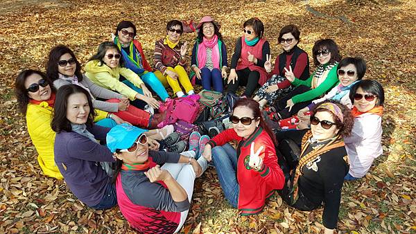 1510501460401_看图王.jpg 1510501460401_看图王.jpg