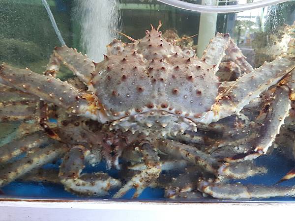 1510502523312_看图王.jpg 1510502523312_看图王.jpg