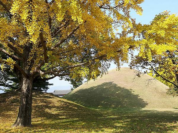 1510502596601_看图王.jpg 1510502596601_看图王.jpg