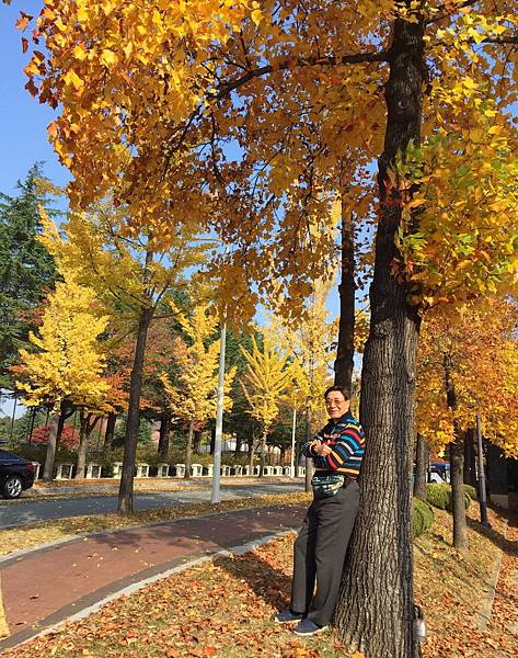 1510502687398_看图王.jpg 1510502687398_看图王.jpg