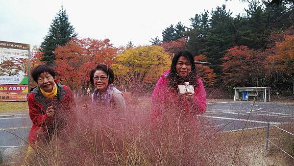 1510502716355_看图王.jpg 1510502716355_看图王.jpg