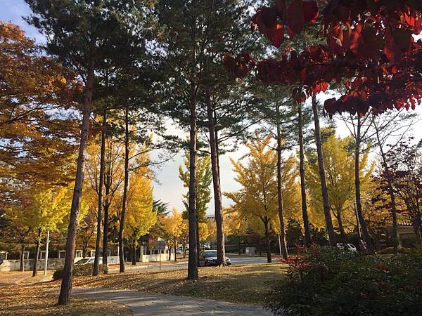 1510504978304_看图王.jpg 1510504978304_看图王.jpg