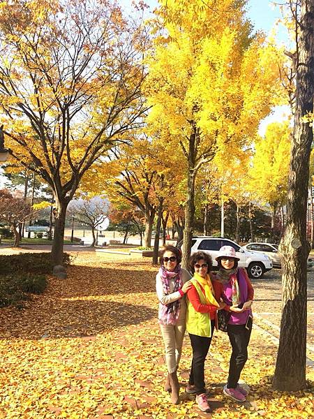 1510504993840_看图王_看图王.jpg 1510504993840_看图王_看图王.jpg