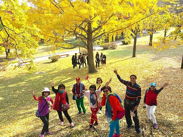 1510505014895_看图王_看图王.jpg 1510505014895_看图王_看图王.jpg