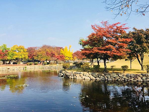 1510505022009_看图王.jpg 1510505022009_看图王.jpg