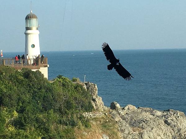 1510505085389_看图王.jpg 1510505085389_看图王.jpg