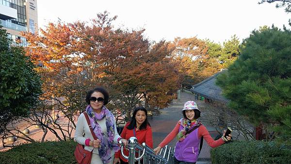 1510505960647_看图王.jpg 1510505960647_看图王.jpg