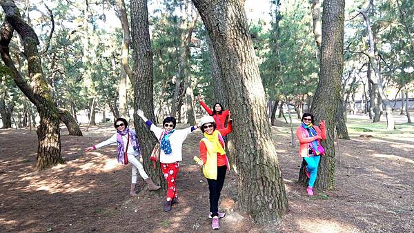 1510506408777_看图王_看图王.jpg 1510506408777_看图王_看图王.jpg