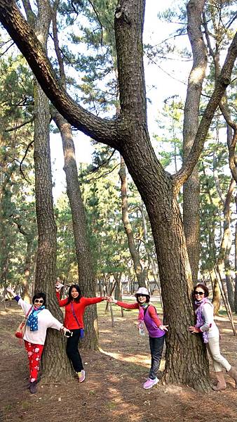 1510506410892_看图王_看图王.jpg 1510506410892_看图王_看图王.jpg