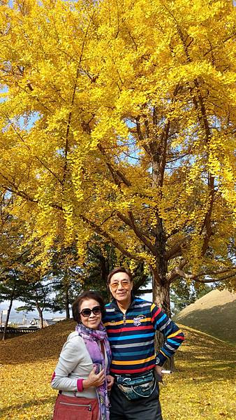 1510506462284_看图王.jpg 1510506462284_看图王.jpg