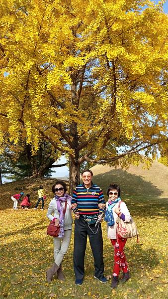 1510506478574_看图王.jpg 1510506478574_看图王.jpg