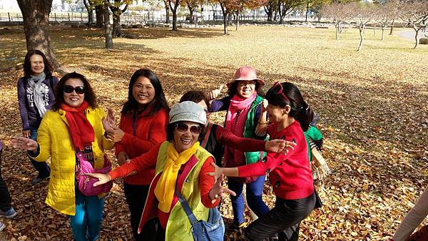 1520996164390.jpg 1520996164390.jpg