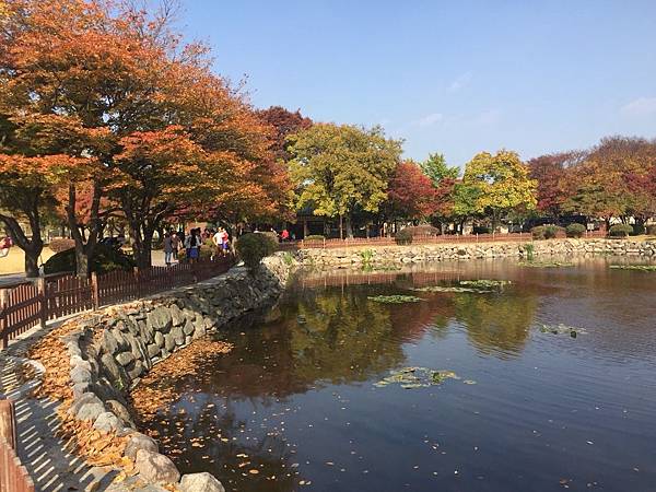 1520996849728.jpg 1520996849728.jpg