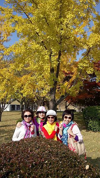 1520996984284.jpg 1520996984284.jpg