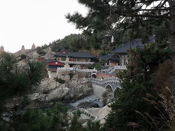 1520997444914.jpg 1520997444914.jpg