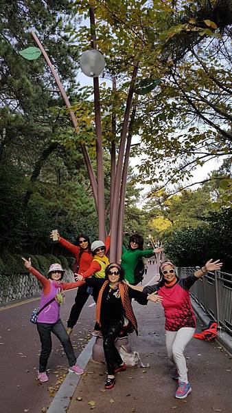 1520997990974.jpg 1520997990974.jpg