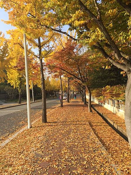 1510504964074_看图王.jpg 1510504964074_看图王.jpg