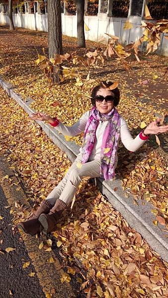 1510505225701_看图王.jpg 1510505225701_看图王.jpg