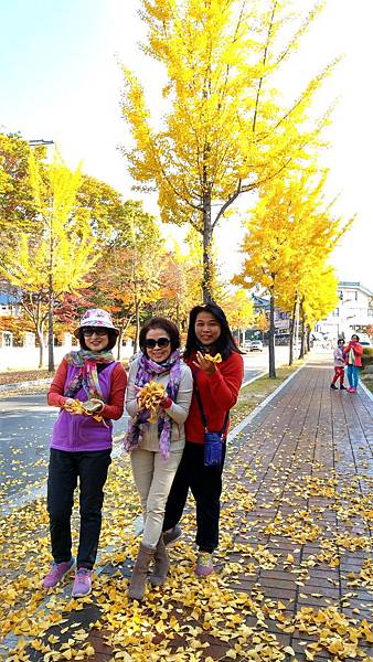 1510506384075_看图王_看图王.jpg 1510506384075_看图王_看图王.jpg