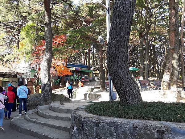 20171109_140404_看图王.jpg 20171109_140404_看图王.jpg