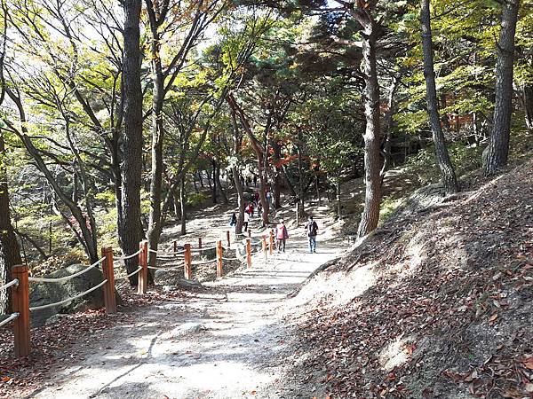 20171109_140739_看图王_看图王.jpg 20171109_140739_看图王_看图王.jpg