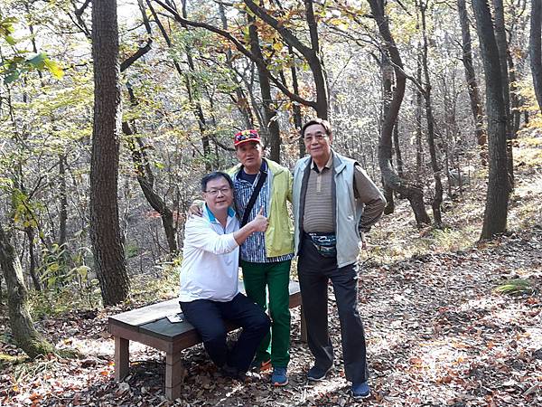 20171109_141205_看图王.jpg 20171109_141205_看图王.jpg