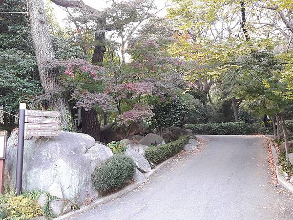 20171109_150921_看图王.jpg 20171109_150921_看图王.jpg