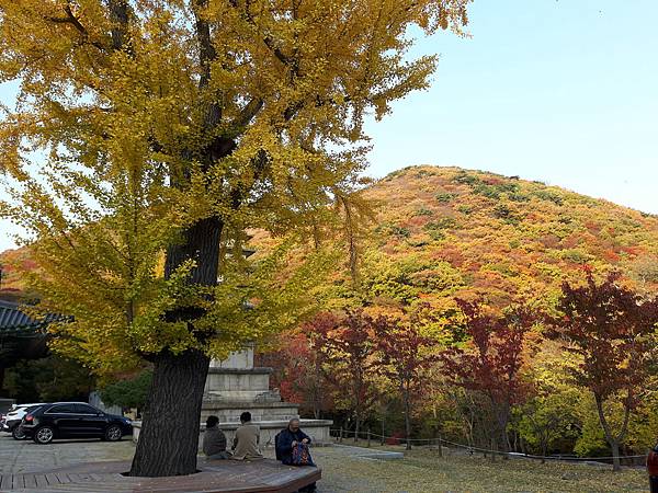 20171109_161155_看图王.jpg 20171109_161155_看图王.jpg