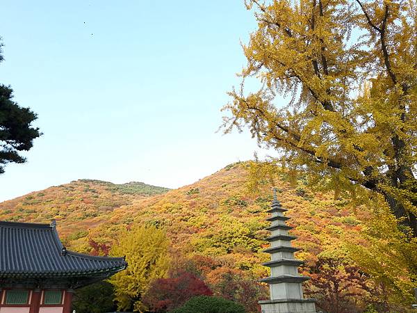 20171109_161315_看图王.jpg 20171109_161315_看图王.jpg