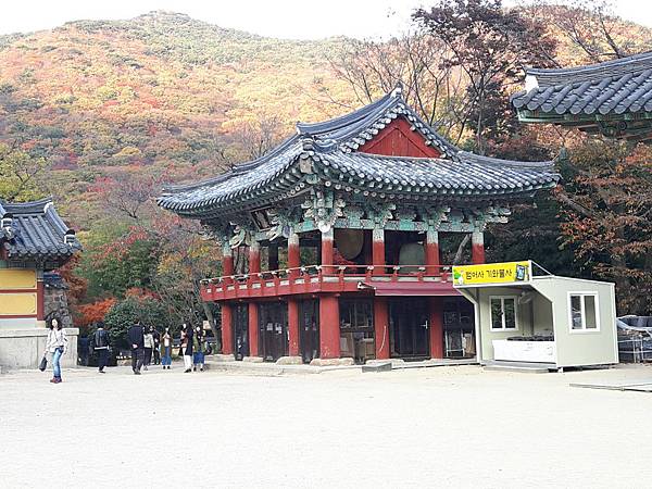 20171109_162855_看图王.jpg 20171109_162855_看图王.jpg