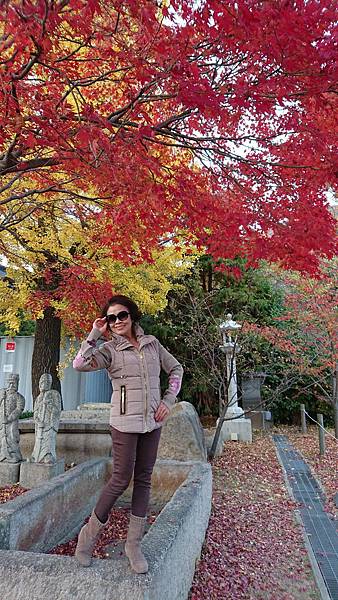 1510468066491_看图王.jpg 1510468066491_看图王.jpg