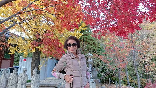 1510468068757_看图王.jpg 1510468068757_看图王.jpg