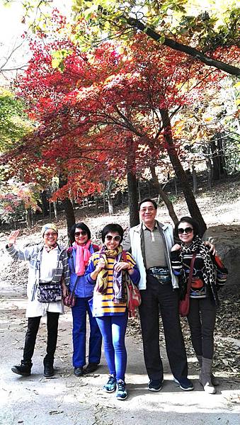 1510468295838_看图王_看图王.jpg 1510468295838_看图王_看图王.jpg