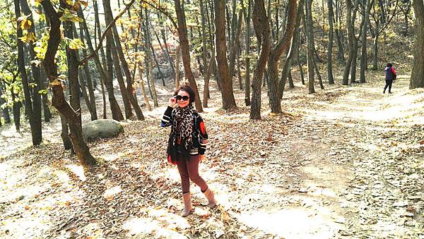 1510468319823_看图王_看图王.jpg 1510468319823_看图王_看图王.jpg