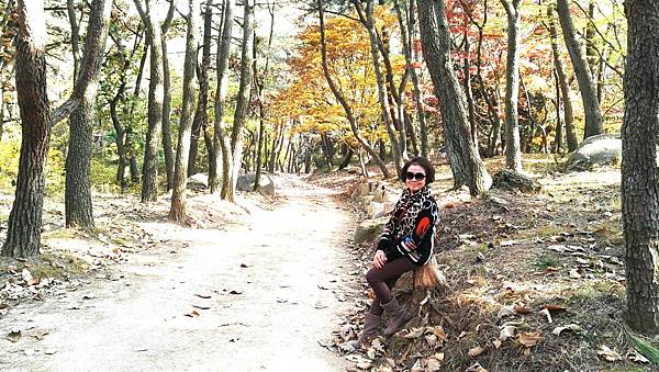 1510468326216_看图王_看图王.jpg 1510468326216_看图王_看图王.jpg