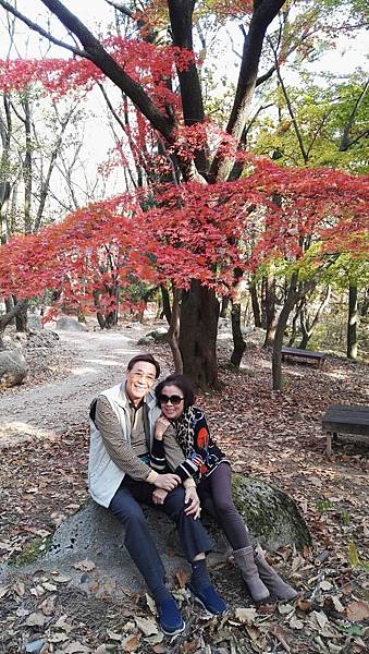 1510468379107_看图王.jpg 1510468379107_看图王.jpg