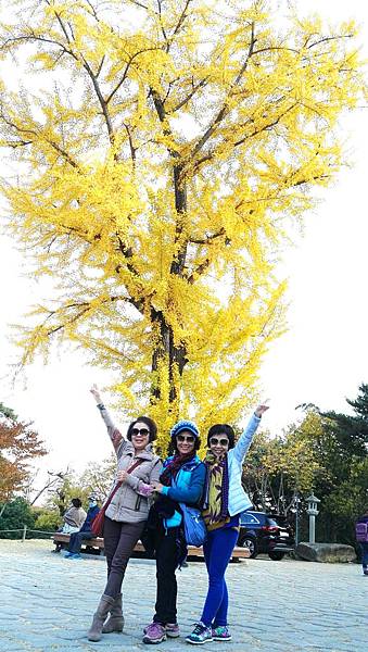 1510468485673_看图王_看图王.jpg 1510468485673_看图王_看图王.jpg